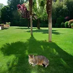 Bed & Breakfast Le Facezie Terranuova Bracciolini