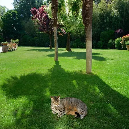 Bed & Breakfast Le Facezie Terranuova Bracciolini