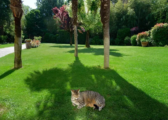 לינה וארוחת בוקר Le Facezie טרנובה ברצ'וליני