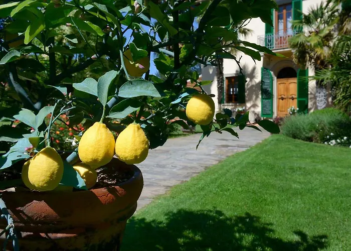 Le Facezie טרנובה ברצ'וליני