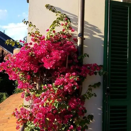 Bed and Breakfast Le Facezie Terranuova Bracciolini